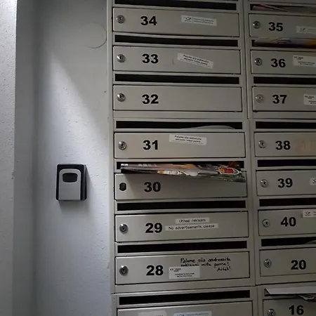 Ohtu Poik In Centre Of Appartement